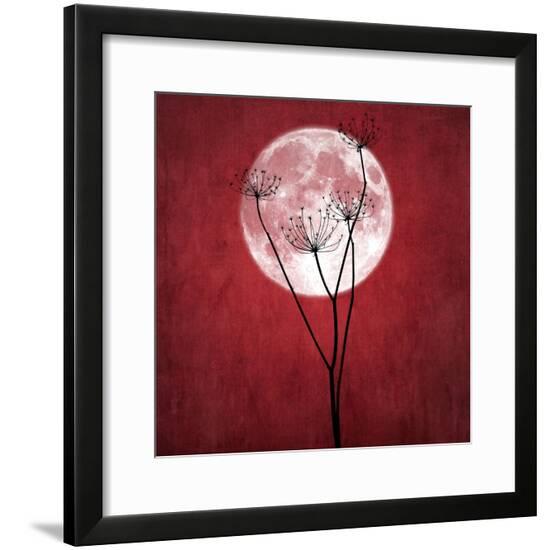 Framed Photographic Print, , large