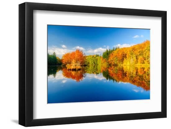 Premium Photographic Print, , large