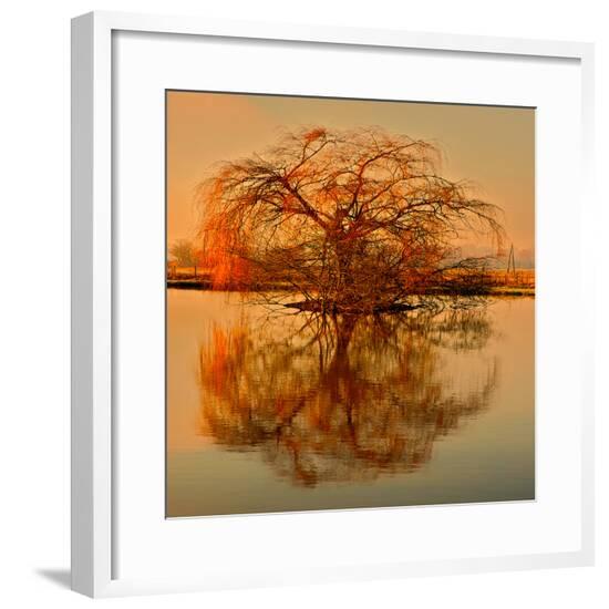 Framed Photographic Print, , large