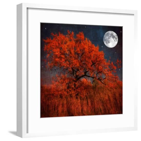 Framed Photographic Print, , large