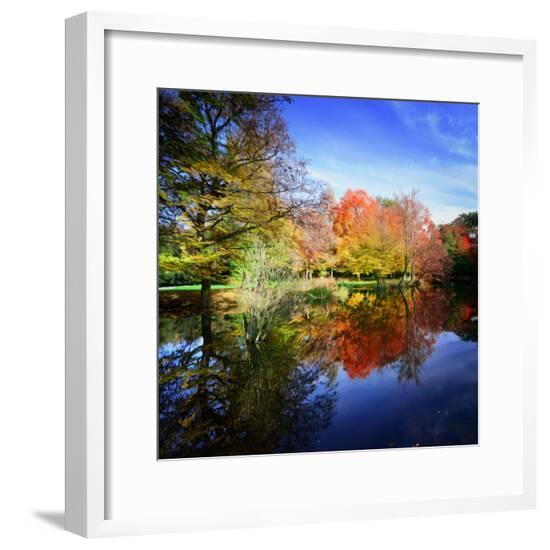 Framed Photographic Print, , large
