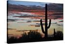 Stretched Canvas