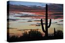 Stretched Canvas