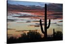 Stretched Canvas