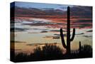 Stretched Canvas