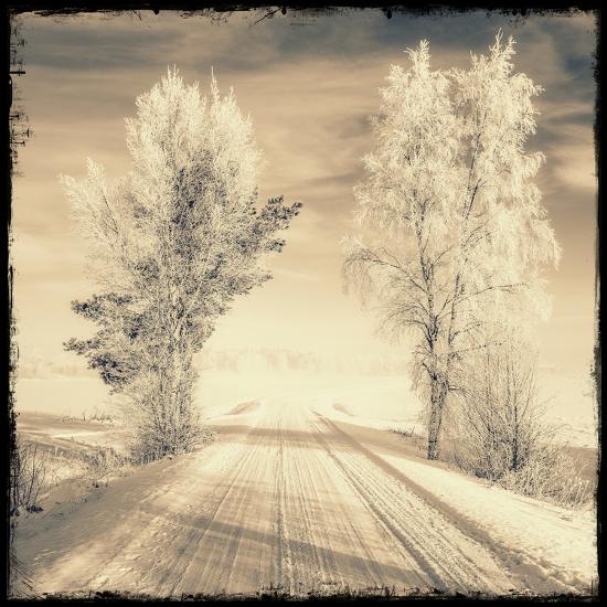 Photographic Print, , large