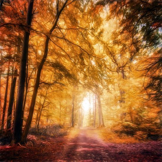 Photographic Print, , large