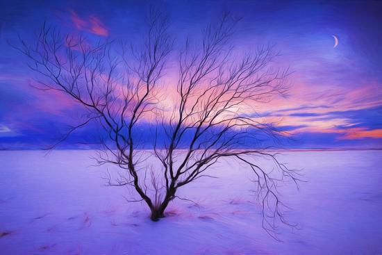 Photographic Print, , large