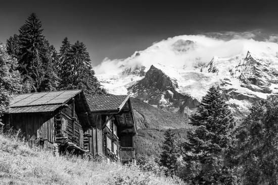 Photographic Print, , large