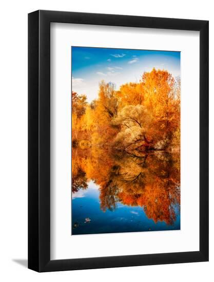 Premium Photographic Print, , large