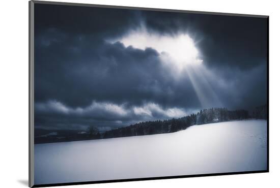 Photographic Print, , large