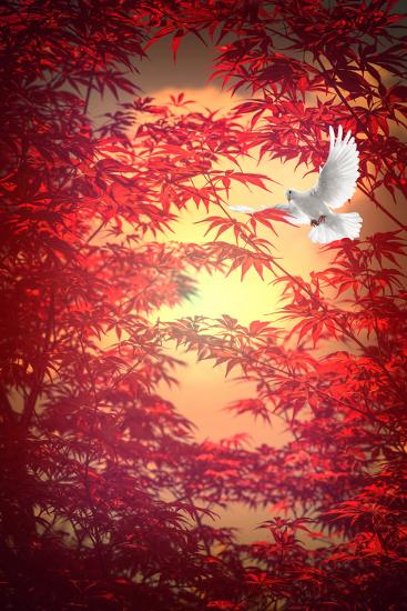 Photographic Print, , large