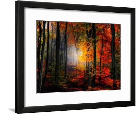 Framed Photographic Print, , large