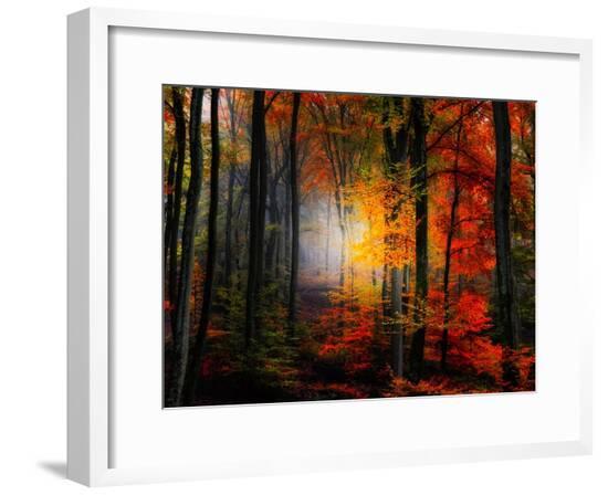 Framed Photographic Print, , large