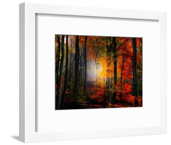 Framed Photographic Print, , large