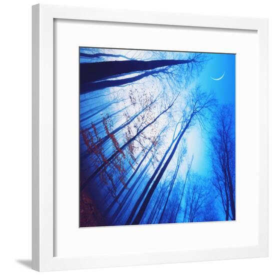 Framed Photographic Print, , large