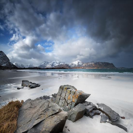 Premium Photographic Print, , large