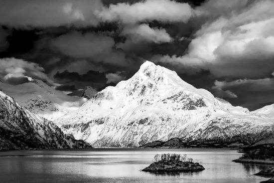Premium Photographic Print, , large