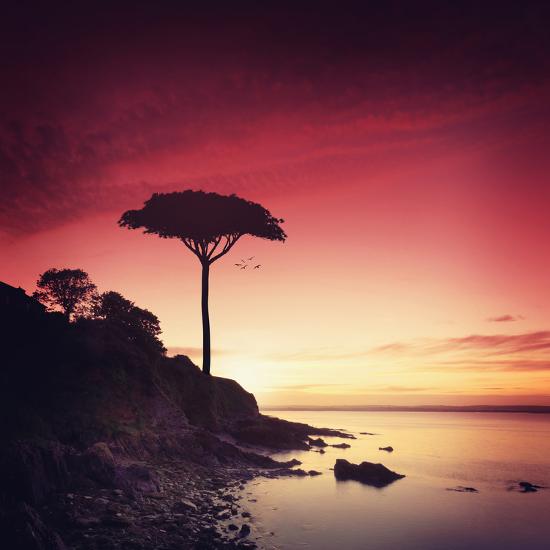 Premium Photographic Print, , large
