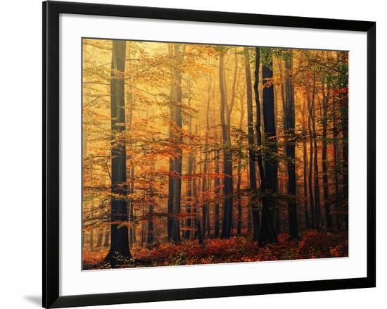 Framed Photographic Print, , large