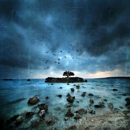 Photographic Print, , large
