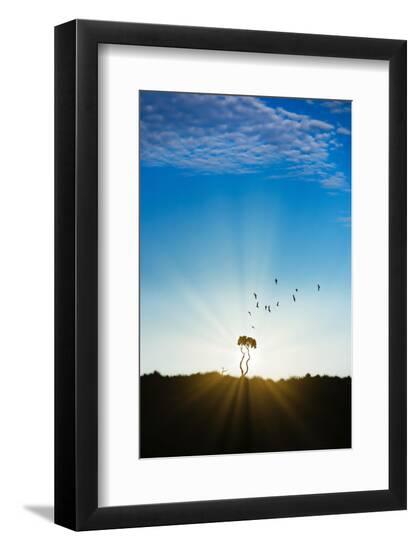 Premium Photographic Print, , large