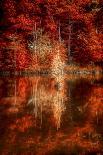 Autumn Way-Philippe Sainte-Laudy-Photographic Print