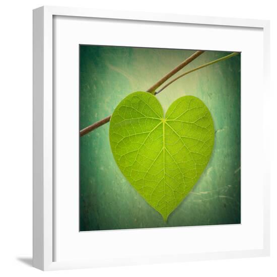 Framed Photographic Print, , large