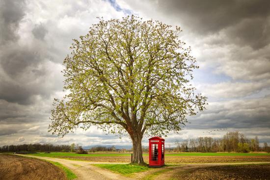 Photographic Print, , large