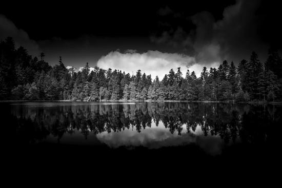 Premium Photographic Print, , large