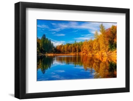 Premium Photographic Print, , large