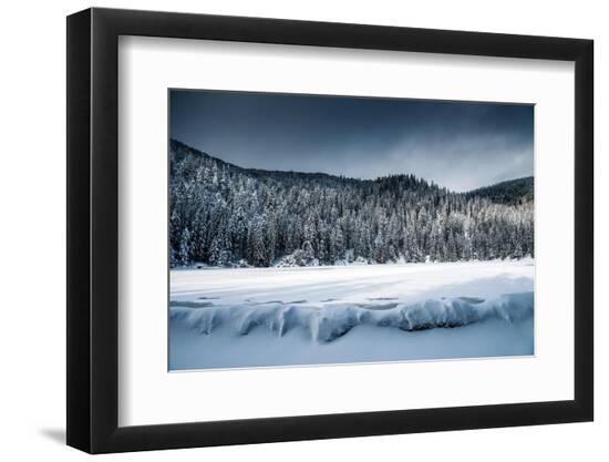 Premium Photographic Print, , large