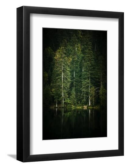 Premium Photographic Print, , large