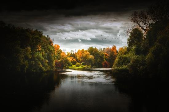 Premium Photographic Print, , large