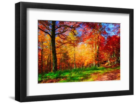 Premium Photographic Print, , large
