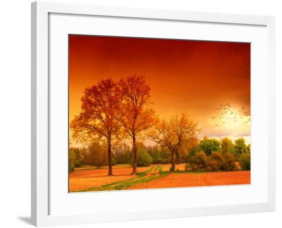 Framed Photographic Print, , large