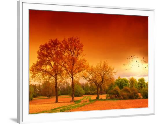 Framed Photographic Print, , large