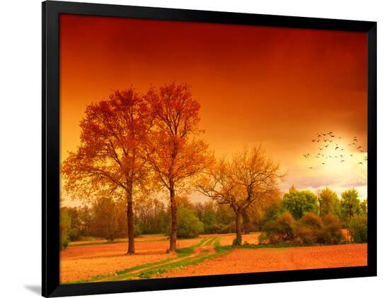 Photographic Print, , large