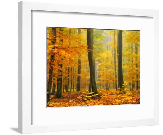 Framed Photographic Print, , large