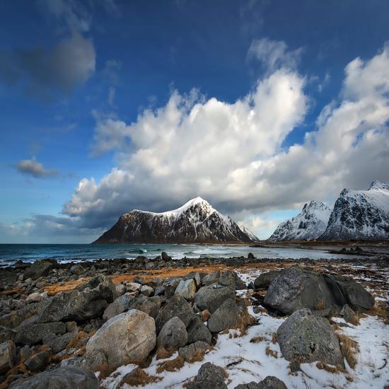 Premium Photographic Print, , large