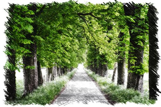 Photographic Print, , large