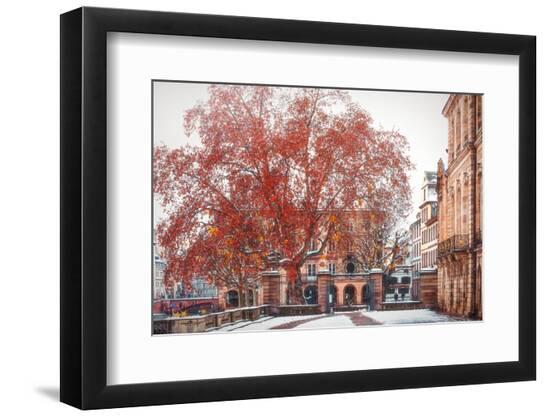 Premium Photographic Print, , large