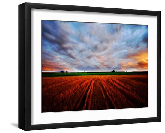 Premium Photographic Print, , large