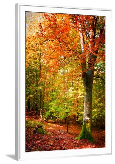 Framed Photographic Print, , large