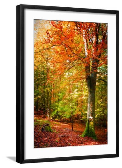 Premium Photographic Print, , large