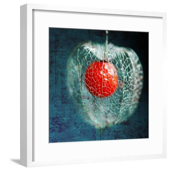Framed Photographic Print, , large
