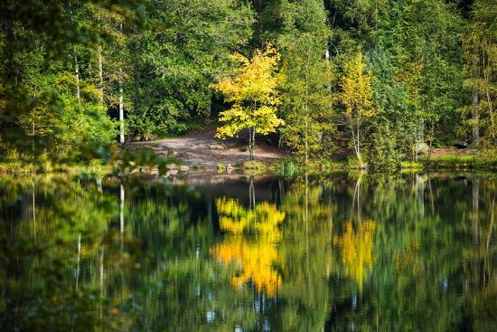 Premium Photographic Print, , large