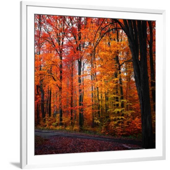 Framed Photographic Print, , large