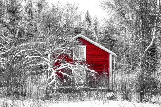 Photographic Print, , large
