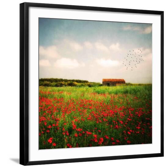Premium Photographic Print, , large